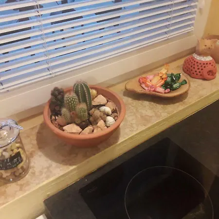 Apartma Mama Minka *